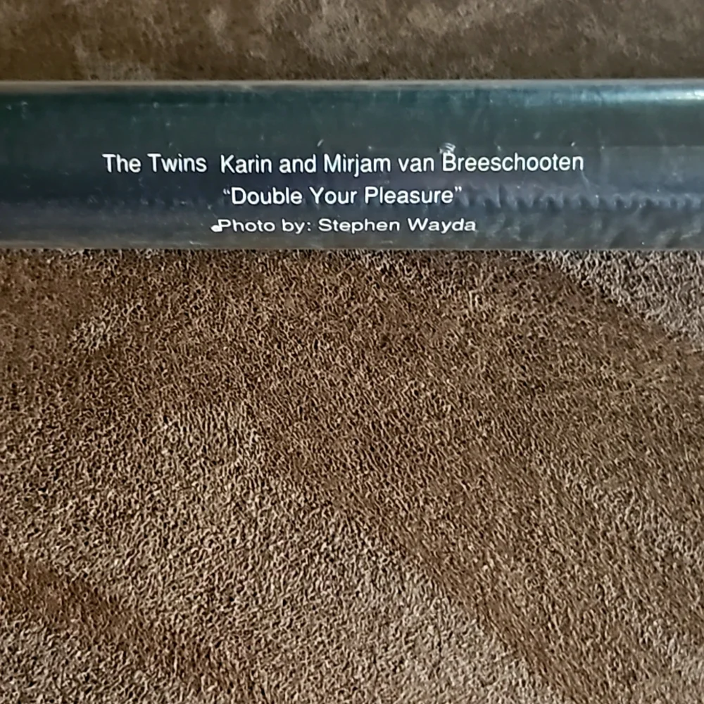 The Twins Karin & Mirjam Breeschooten Door Poster - Picture 2 of 3